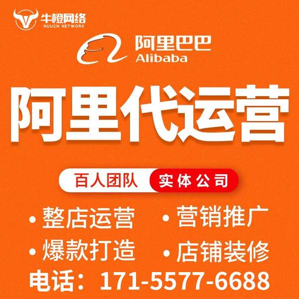 泸州电商代运营