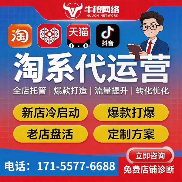 泸州电商代运营