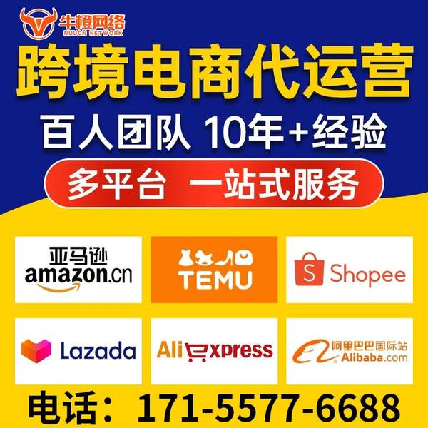 泸州电商代运营