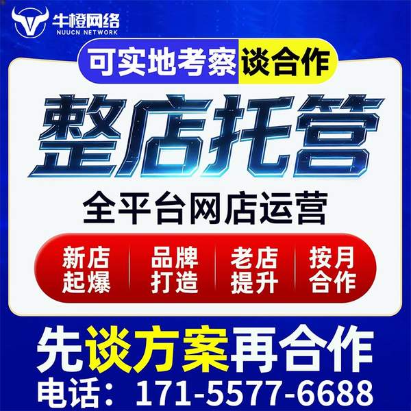 泸州电商代运营