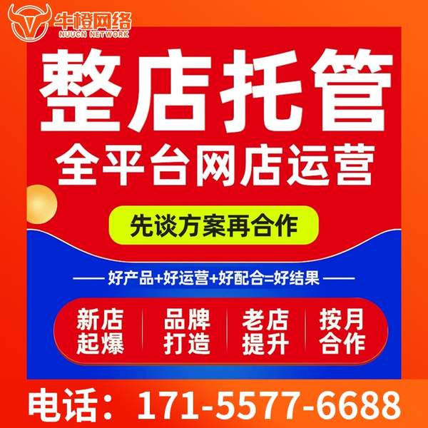 泸州电商代运营
