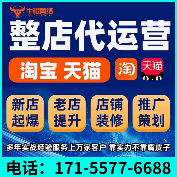 泸州电商代运营