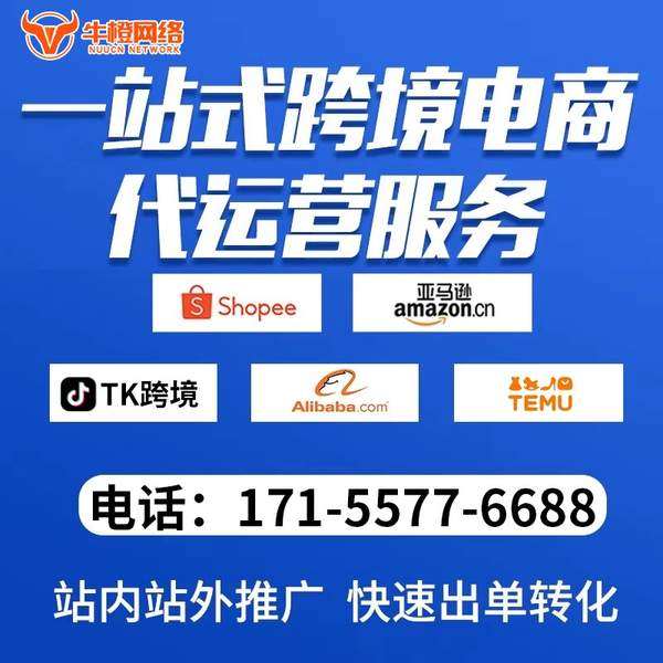 泸州电商代运营
