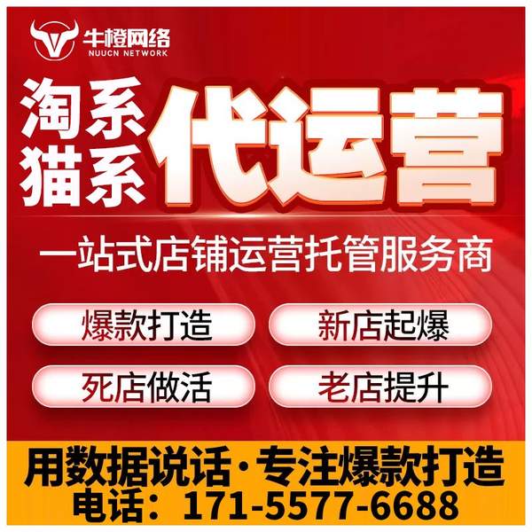 泸州电商代运营